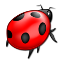 Animal, Bug, Insect, Ladybird Icon