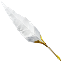 Antique, Feather, Quill, Write, Writing Icon