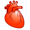 Cardiology, Heart Icon