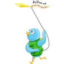 Bird, Kit, Twitter Icon