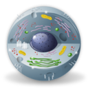 Biology Icon