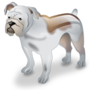Bulldog, Dog, Pet Icon