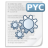Pyc, Source Icon
