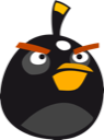 Blackbird Icon