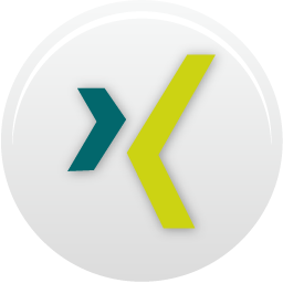 Xing Icon