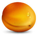 Apricot, Fruit Icon