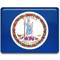 Flag, Virginia Icon