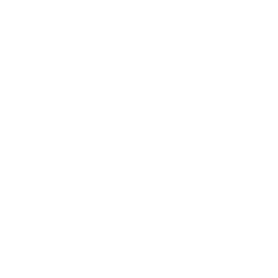 Llama Icon
