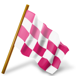 Chequered, Flag, Map, Marker, Pink, Right Icon