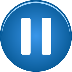 Pause Icon