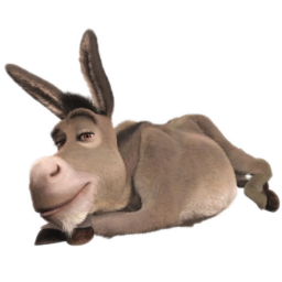 Donkey, Icon Icon
