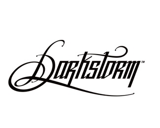 calligraphy,handwritten logo