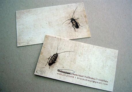 Bug Killer Card business card