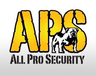 All Pro Security logo