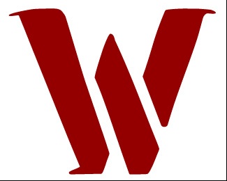 World View International logo