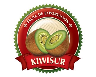 Kiwisur logo