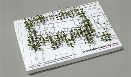 Interactive Concept For a Landscape Architect business card