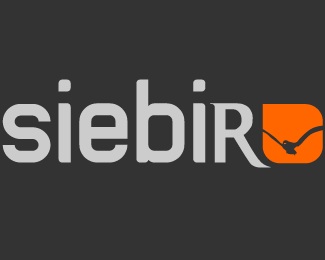 bird,freelance,web,web design logo