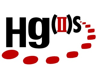 Hg2s logo