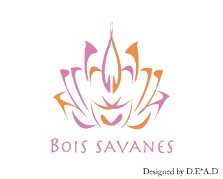 Bois Savanes logo