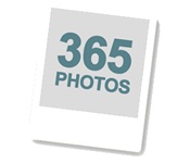 365 Photos