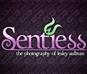 Sentiess: The Photography Of Lesley Sullivan