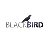 Black BIRD