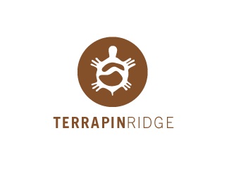 turtle,mustard,mountain,ridge logo