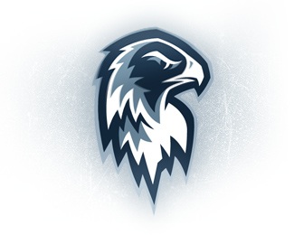 bird,blue,eagle,wings,talons logo