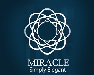 elegant,web design,miracle,web developer logo