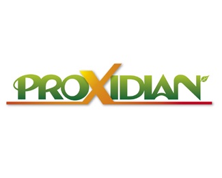 proxidian marchel koorn two connection logo