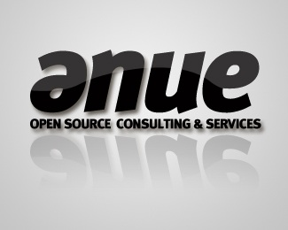 company,consulting,open,source logo