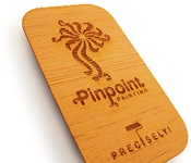 Pinpoint Painting Cards