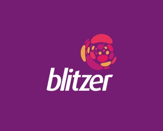 Blitzer (Concept V3) logo