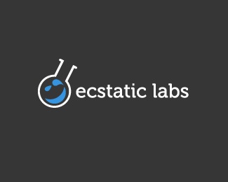 consulting,labs,fun,ecstatic,quirky logo