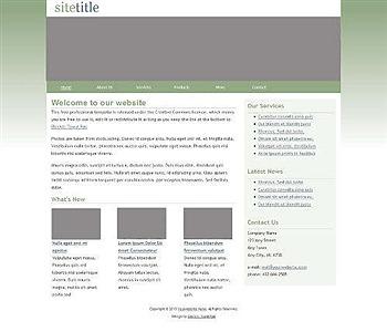 basic,business,minimal website template