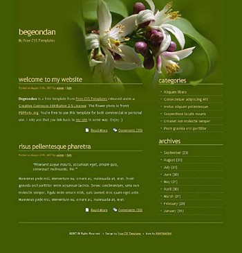 flower,petals,seeds,stigma website template