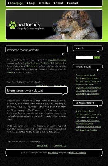 animals,dog,pet website template