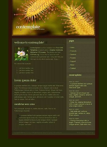 buds,flower,lilies,stigma website template