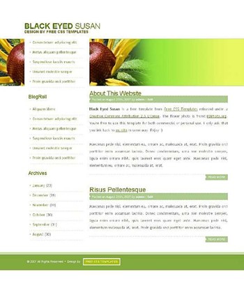 fruits,vegetables website template