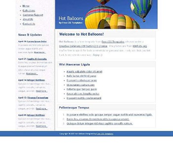 air,balloons,hot,skies website template