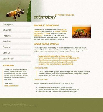 bugs,insects website template