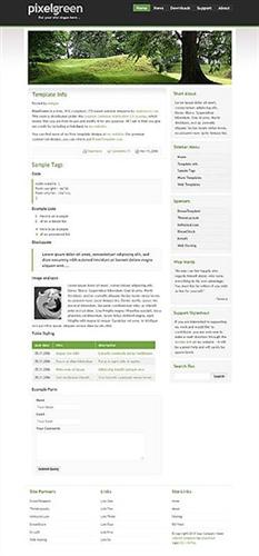 blog,business,personal website template