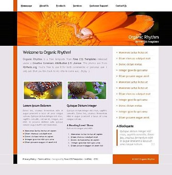 bugs,flower,insects website template