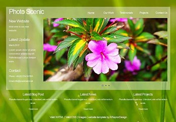 blog,business,corporate,nature,portfolio website template