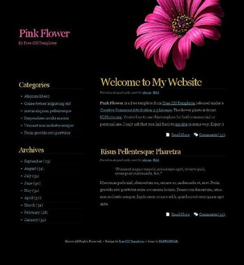daisy,flower website template
