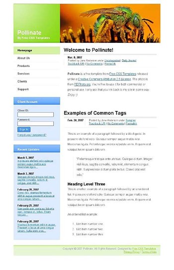 buds,bugs,flower,stigma website template