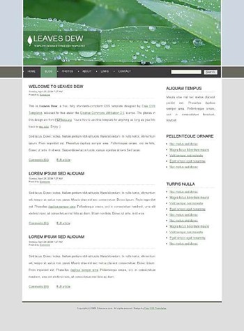leaf website template