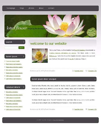 flower,lotus,nature website template