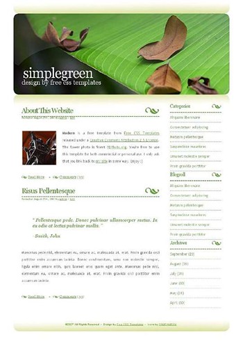 Simplegreen
